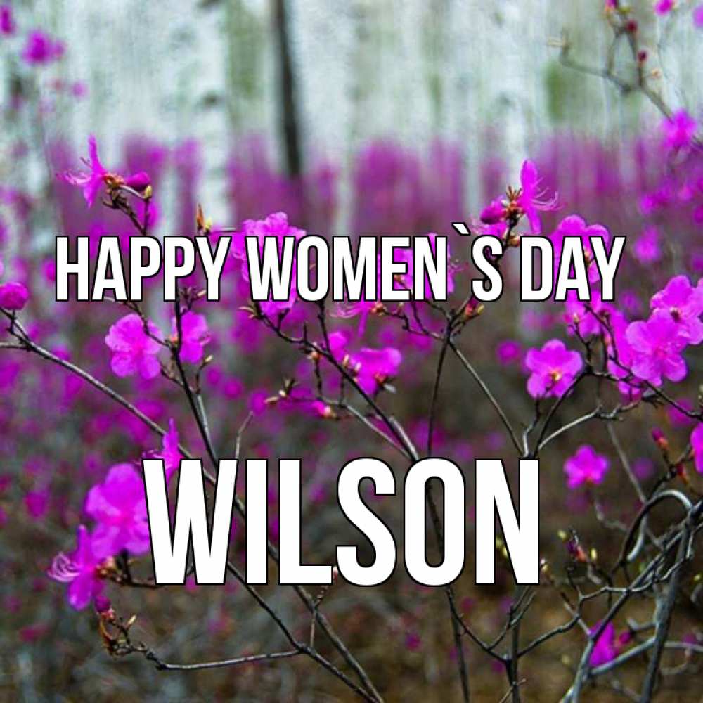 Greetings card с именем, Wilson happy women`s day дикие цветы Greetings with text for free download 